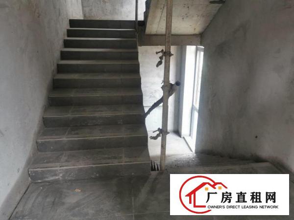  厚街大道新型厂房15155平方，可分租，环境优美，价格实惠