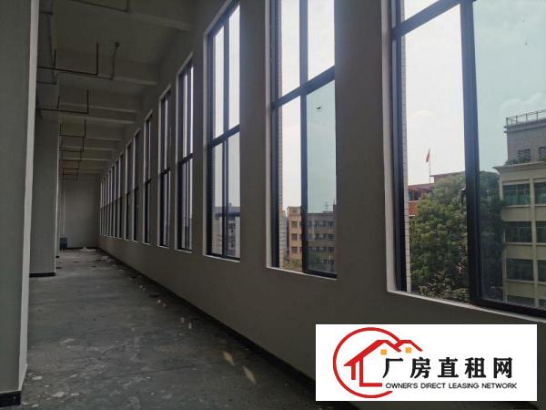  厚街大道新型厂房15155平方，可分租，环境优美，价格实惠