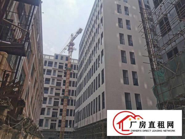  厚街大道新型厂房15155平方，可分租，环境优美，价格实惠