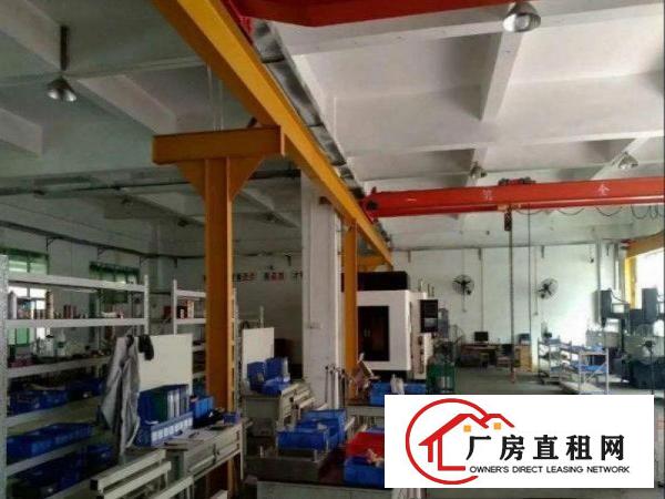  环冈原房东一楼580平方独门独院带航车厂房招租