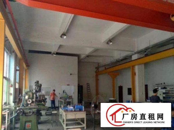  环冈原房东一楼580平方独门独院带航车厂房招租