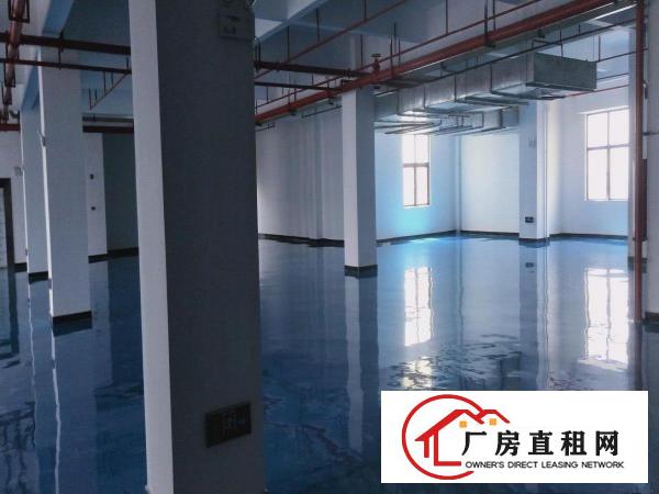  独门独院，交通便利，环境OK