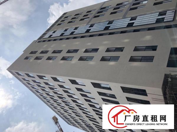  厚街西环路全新写字楼厂房出租，可分组