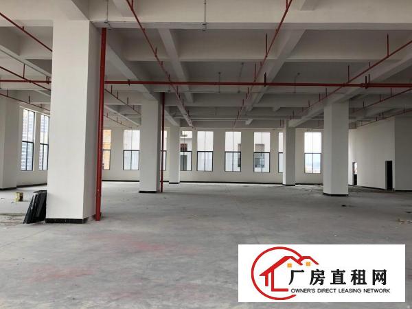  厚街西环路全新写字楼厂房出租，可分组