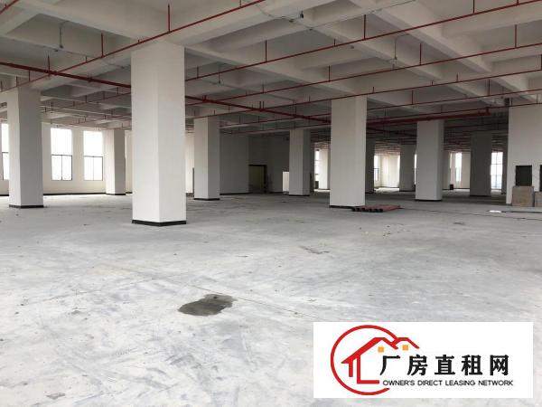  厚街西环路全新写字楼厂房出租，可分组