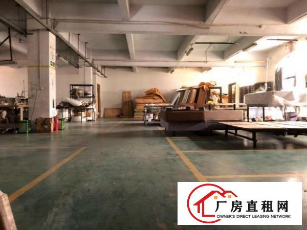 厚街北环路整层厂房招租豪华装修