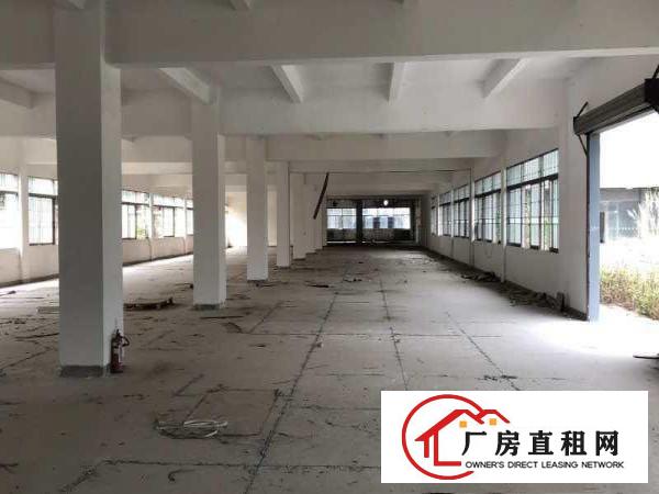  出租厚街镇康乐南厂房面积100起步到几万平各种各样的都有