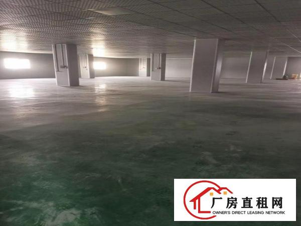  厚街镇现成地坪漆装修厂房5000平方出租可分租