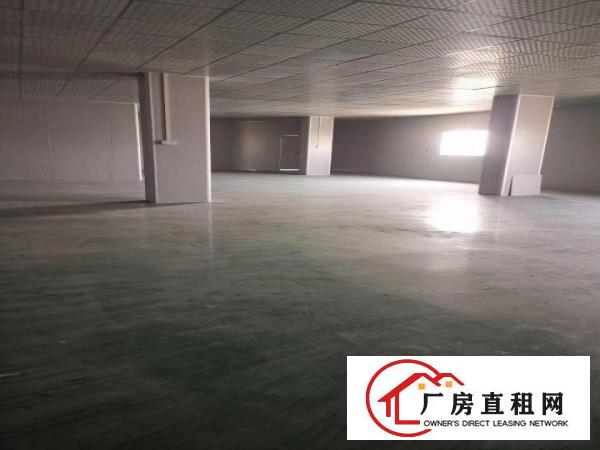  厚街镇现成地坪漆装修厂房5000平方出租可分租