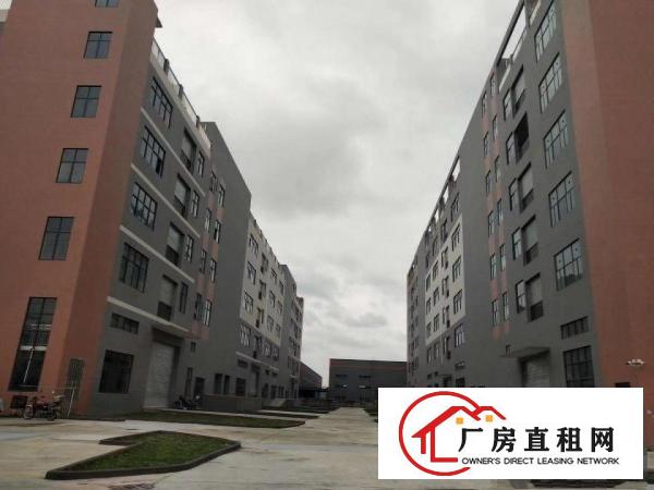  厚街镇现成地坪漆厂房，无尘车间厂房出租