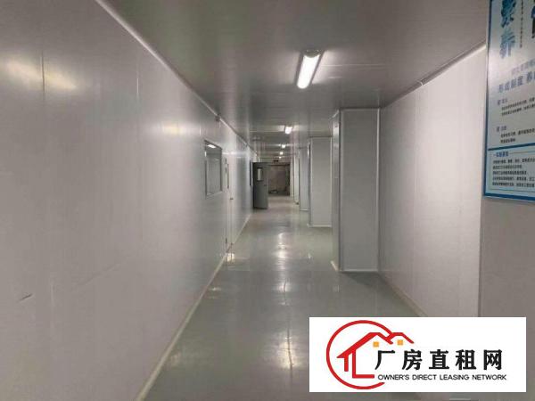  厚街镇现成地坪漆厂房，无尘车间厂房出租