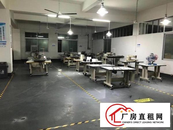  厚街镇赤岭楼上1000平方厂房，有办公室装修带电梯