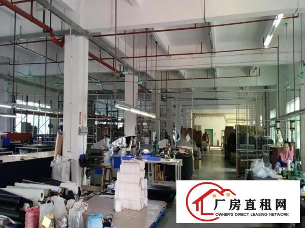  溪头原房东独门独院厂房5700平方，可分租，可整租