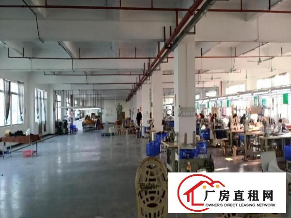 溪头原房东独门独院厂房5700平方，可分租，可整租