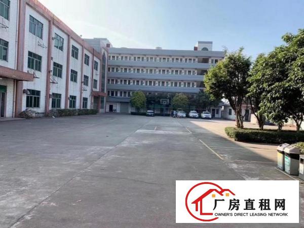  厚街镇赤岭一楼厂房600平方带装修办公室有地坪漆现成主线