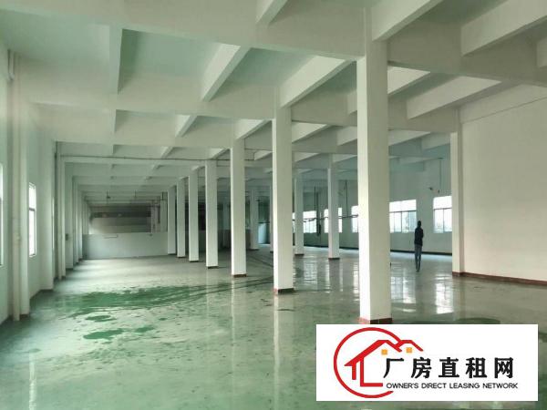  白濠新出标准厂房2500平方精装修可分租，可办环玶
