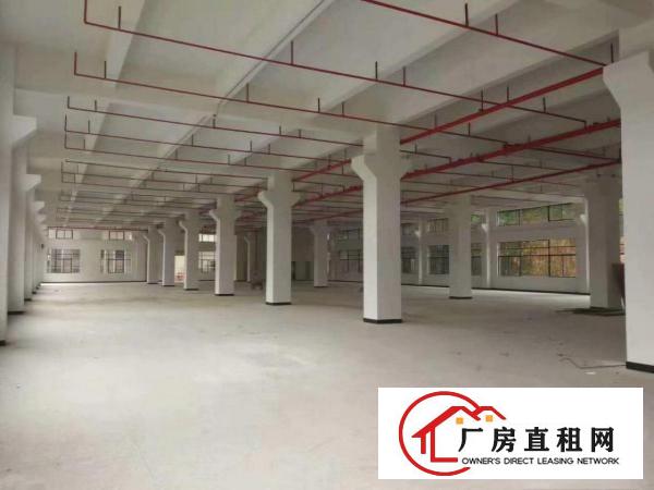  白濠新出标准厂房2500平方精装修可分租，可办环玶