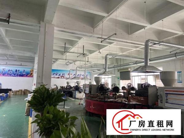  一手房东大园区1楼1280现成厂房