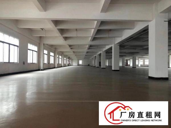  厚街新出独院厂房，共三层10089平方米，交通便利