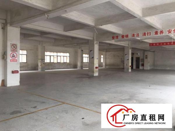  厚街双岗新出独栋楼上带装修1100平厂房出租