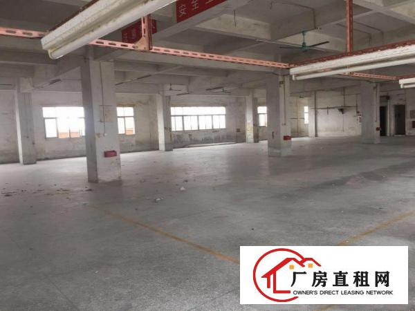  厚街双岗新出独栋楼上带装修1100平厂房出租