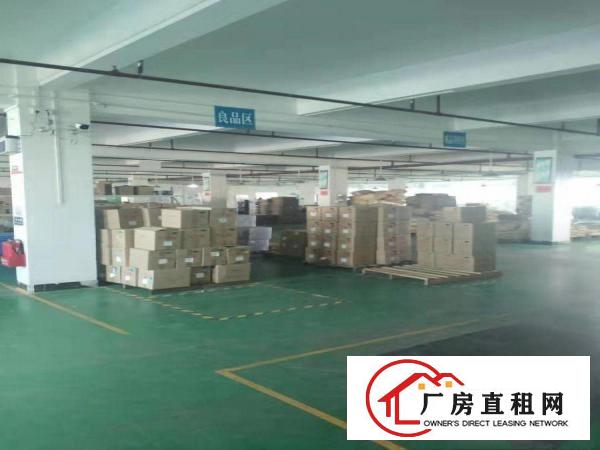 厚街一手房东出租标准独院厂房1300平方，现成办公室水电
