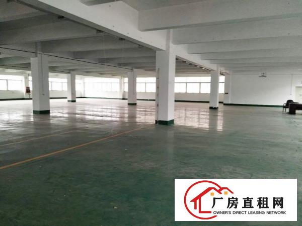  厚街一手房东出租标准独院厂房1300平方，现成办公室水电