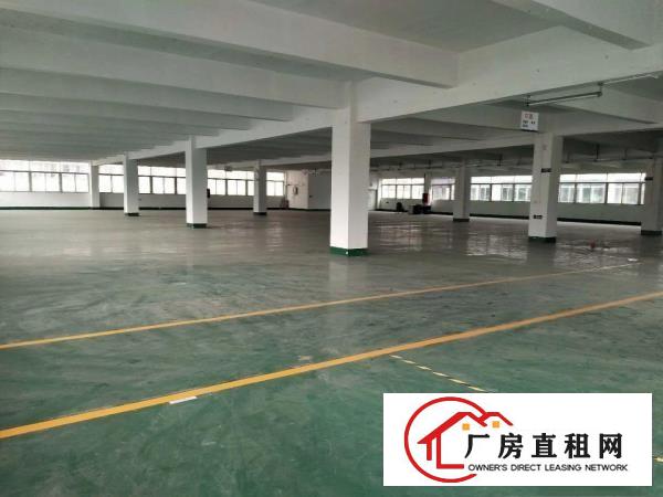  厚街一手房东出租标准独院厂房1300平方，现成办公室水电
