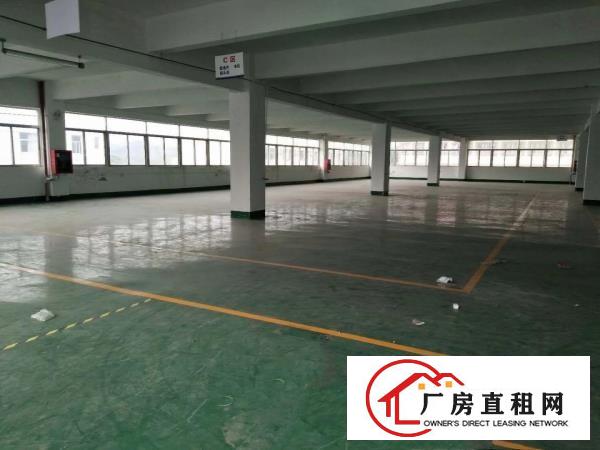  厚街一手房东出租标准独院厂房1300平方，现成办公室水电
