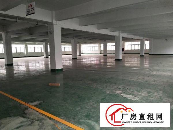  厚街一手房东出租标准独院厂房1300平方，现成办公室水电
