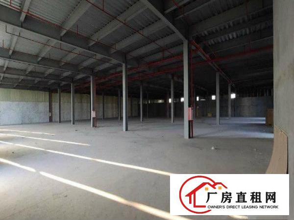  厚街沙塘工业区全新独门独院多层钢构厂房