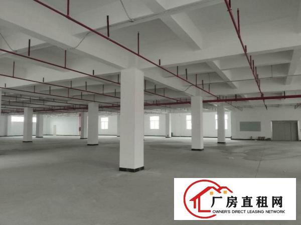  厚街新出voc排放鞋材环评厂房招租