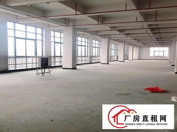  厚街镇下汴社区独院新厂房24000平米招租