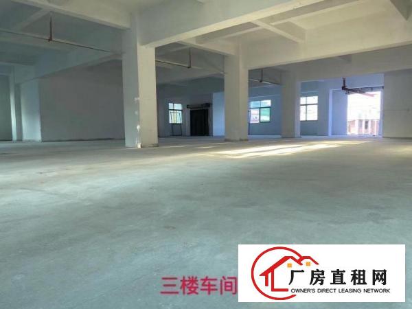  厚街新出独栋厂房楼上655平方，给钱即租，新装两吨电梯