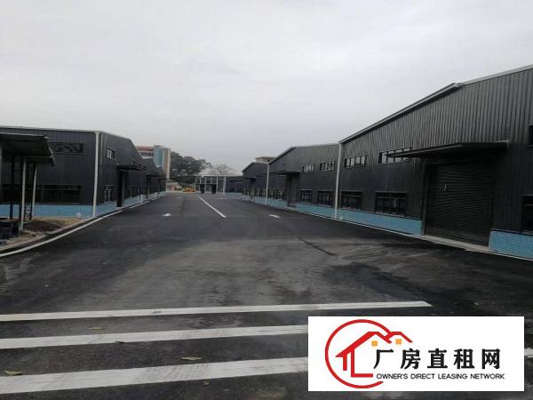  厚街全新钢构铁皮厂房出租滴水8米水电齐全工业用地