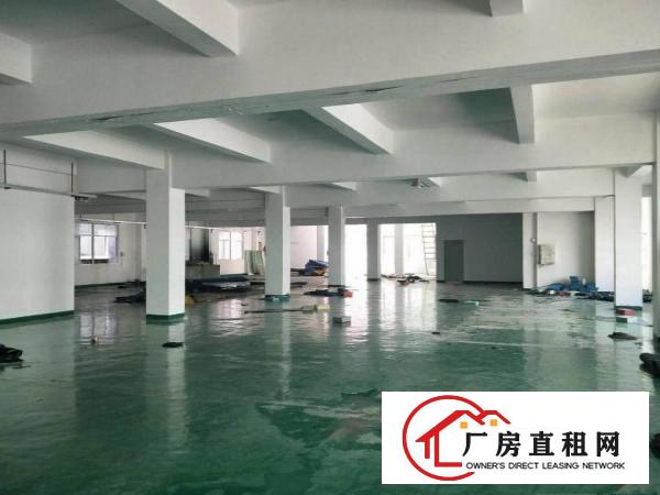  厚街新空出1600平方带装修标准厂房出租仓库出租