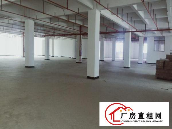  厚街双岗新出楼上3400平带消防喷淋可办环评