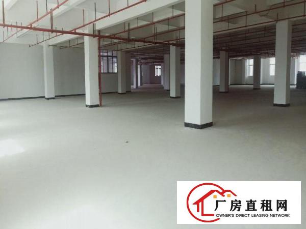  厚街双岗新出楼上3400平带消防喷淋可办环评