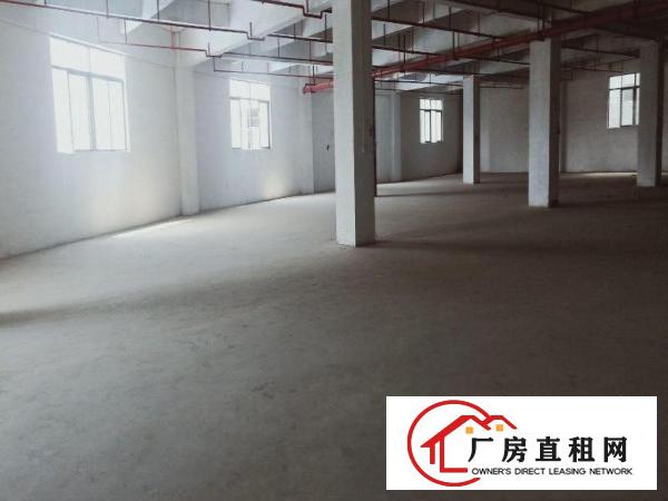  厚街双岗新出楼上3400平带消防喷淋可办环评