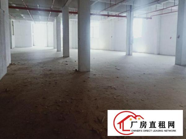  厚街双岗新出楼上3400平带消防喷淋可办环评