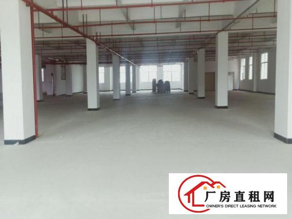  厚街双岗新出楼上3400平带消防喷淋可办环评