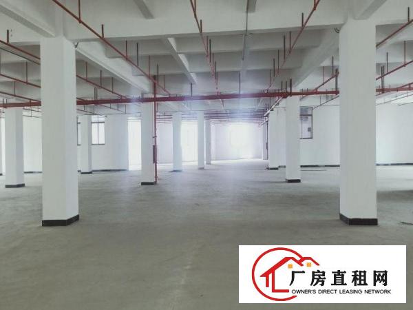  厚街双岗新出楼上3400平带消防喷淋可办环评