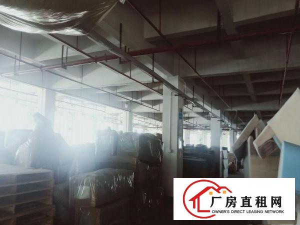  厚街双岗新出楼上3400平带消防喷淋可办环评