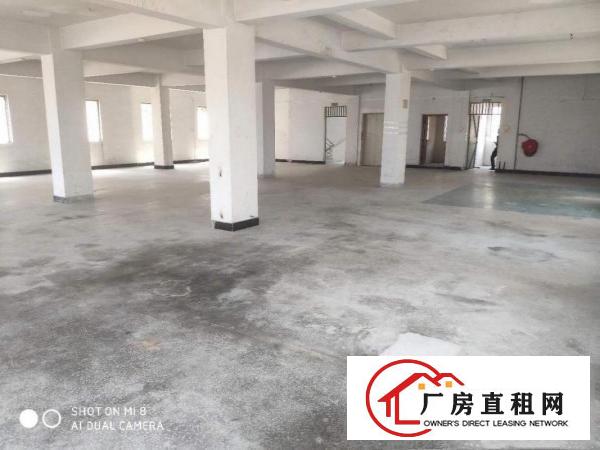  原房东直租独栋550平超低价