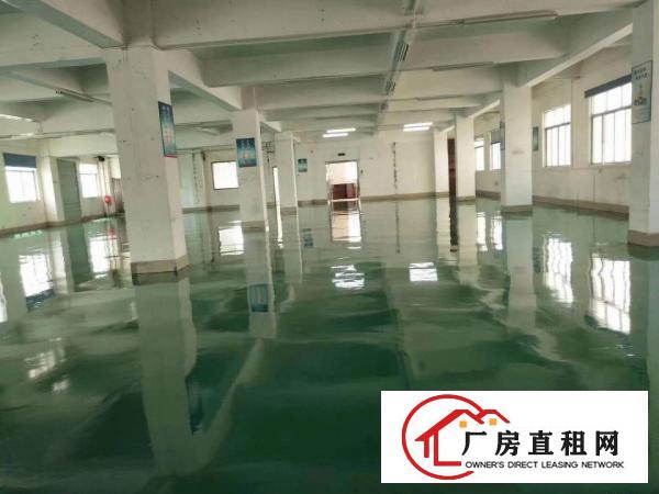  赤岭新出楼上800平带现成办公室装修