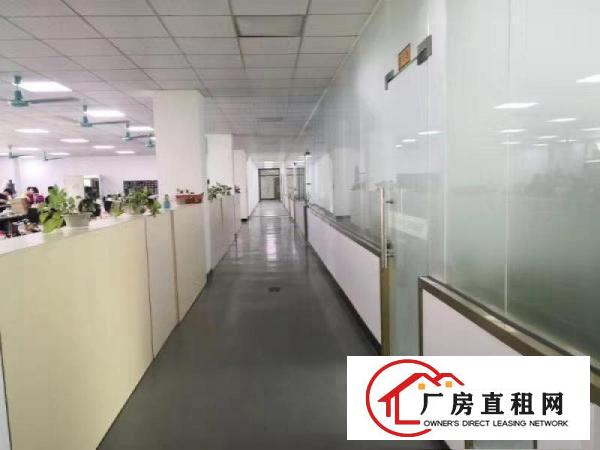  赤岭新出楼上800平带现成办公室装修
