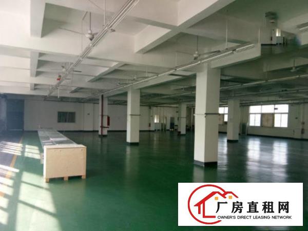  厚街，刚空出1000方标准厂房。可环评，适合镀膜印花