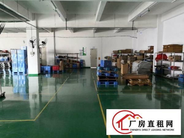  厚街，刚空出1000方标准厂房。可环评，适合镀膜印花