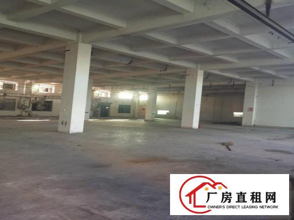  厚街三屯新出现成注塑厂面积9000平方一楼7米高有环评