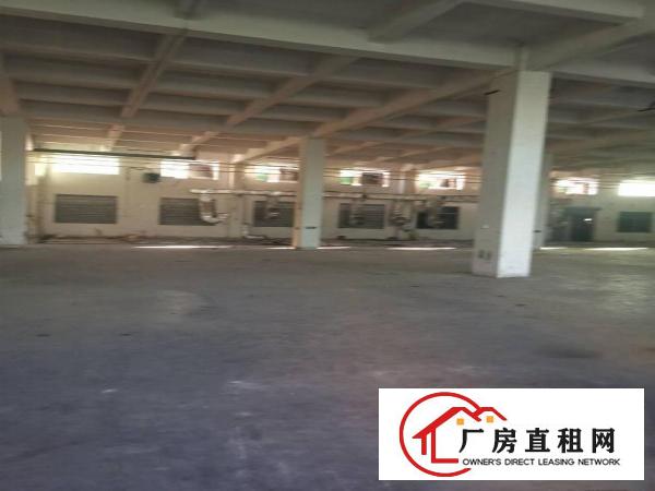  厚街三屯新出现成注塑厂面积9000平方一楼7米高有环评